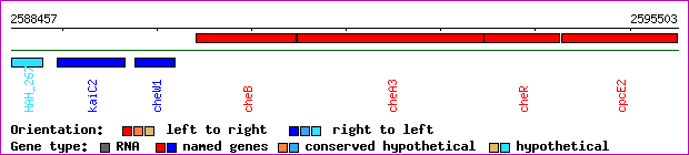 gene map