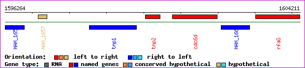 gene map