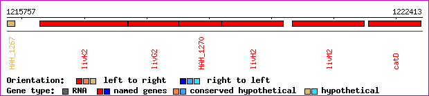 gene map