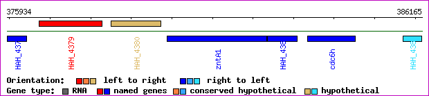 gene map