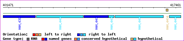 gene map