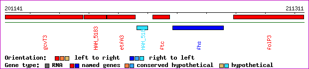 gene map
