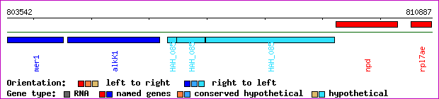 gene map