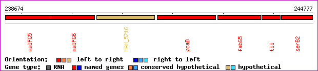gene map