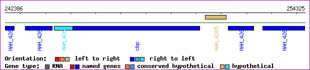 gene map