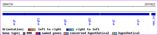 gene map