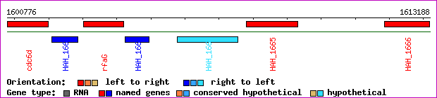 gene map