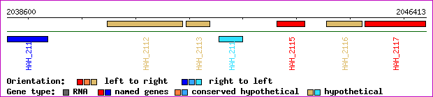 gene map