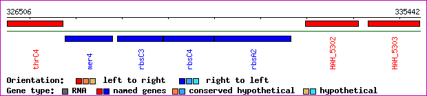 gene map