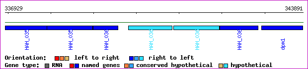 gene map