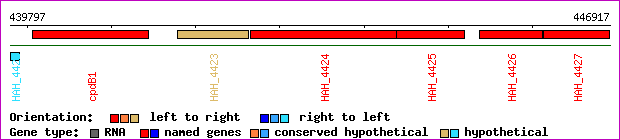 gene map