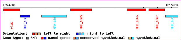 gene map