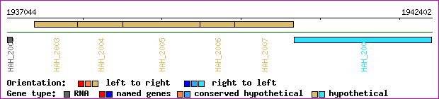 gene map