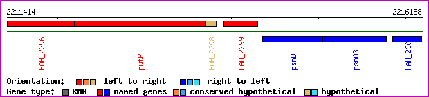 gene map