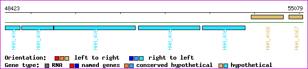 gene map