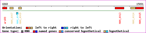 gene map