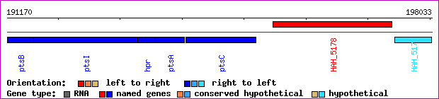 gene map