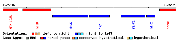 gene map