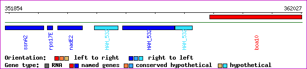 gene map