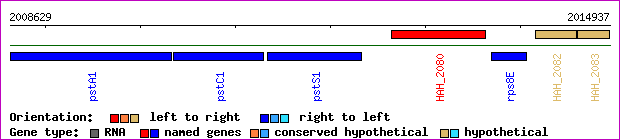 gene map