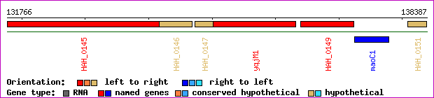 gene map
