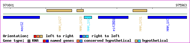 gene map