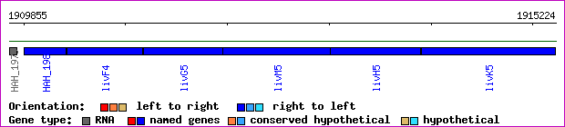 gene map