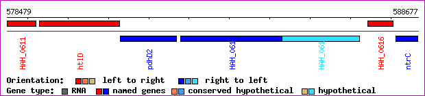 gene map