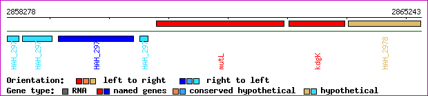 gene map