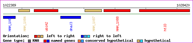 gene map