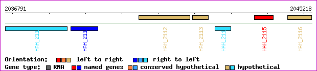 gene map