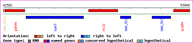 gene map