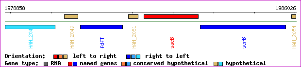 gene map