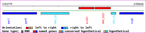 gene map
