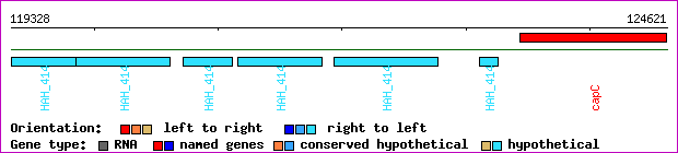 gene map