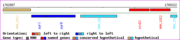 gene map