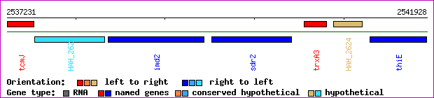 gene map