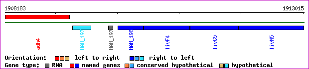 gene map