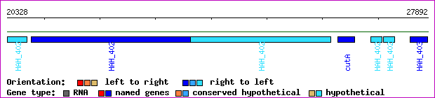 gene map