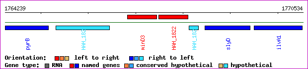gene map