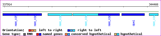 gene map