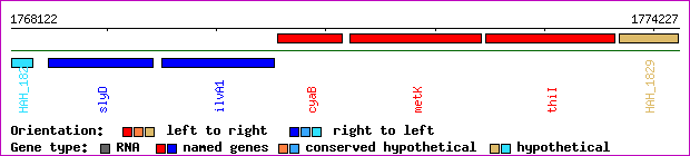 gene map