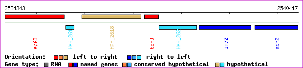 gene map