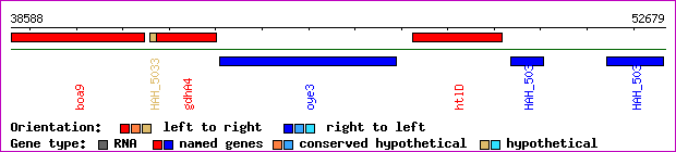 gene map