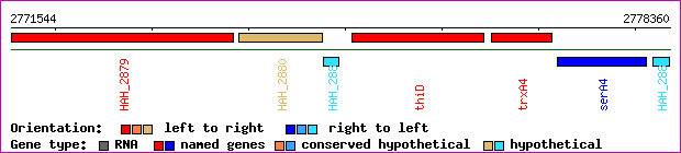 gene map