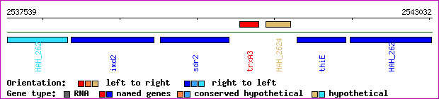 gene map