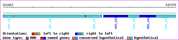 gene map