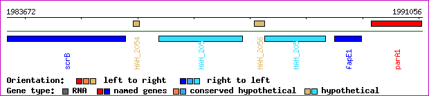gene map
