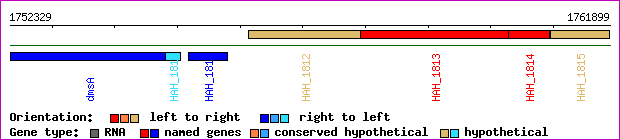 gene map