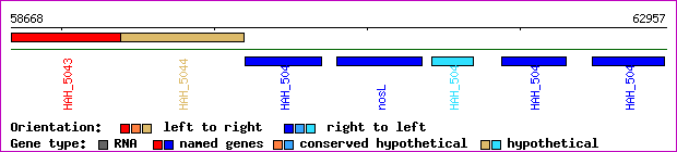 gene map